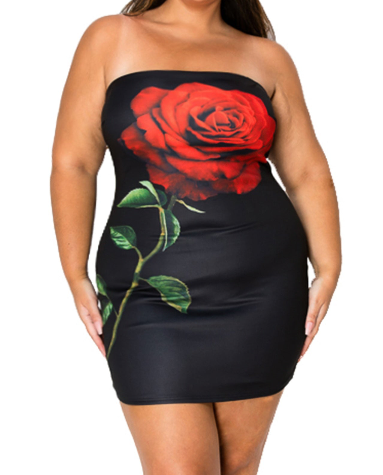 Tube Bodycon Mini Dress
