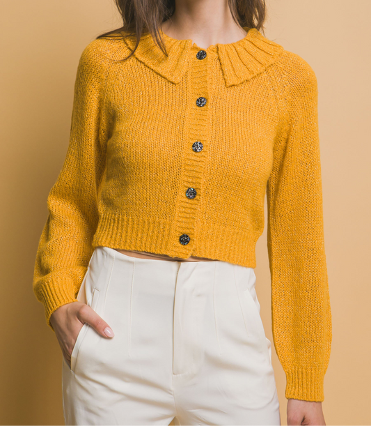 Short Collard Sweater