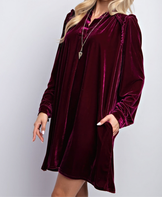 Mini Ruffle Detailing Velvet Dress